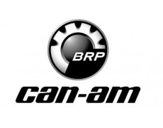 Can-Am Pulse si Can-Am Origin: renasterea electrica