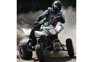 Arctic Cat DVX 300 & 300 4x2 Youth Sport 2010