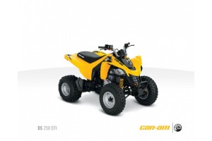 2011 Can-Am DS 250 ATV