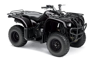 2009 Yamaha Big Bear 250