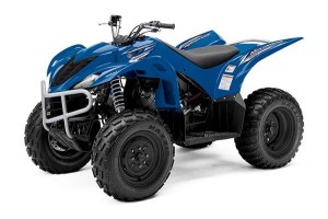 2009 Yamaha Wolverine 350 Sport Utility ATV