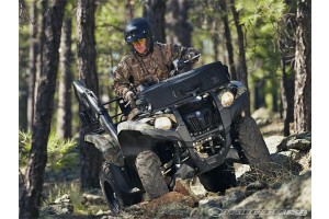 2012 Yamaha, de la Grizzly la YZF450R