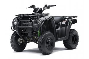 2015 Kawasaki Brute Force 300