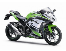 2015 Kawasaki Ninja 300 30th Anniversary Edition