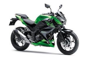 2015 Kawasaki Z300