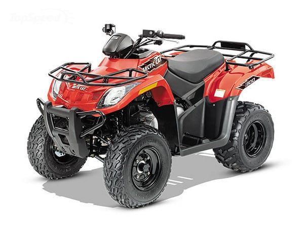 2015 Arctic Cat 300