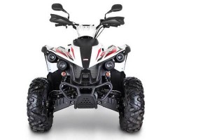  Review ATV TGB Target 600